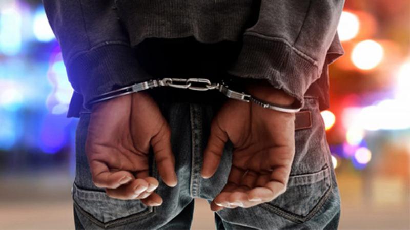 დააკავეს მამაკაცი, რომელმაც დანით დაჭრა საკუთარი ძაღლი და რამდენჯერმე მისი დახრჩობა სცადა