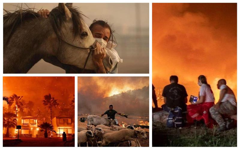 "ადამიანები წყალში გადახტომით ცდილობენ, თავს უშველონ... განადგურდა სახლები, ავტომობილები" - უმძიმესი ფოტოები საბერძნეთიდან, სადაც მასშტაბურ ხანძარს ებრძვიან