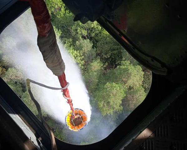 ბორჯომის ტყეში გაჩენილი ხანძარი ლოკალიზებულია