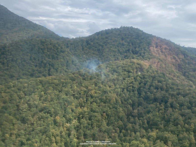 ყვარლის ტბის მიმდებარედ, ტყეში გაჩენილი ხანძარი ლოკალიზებულია