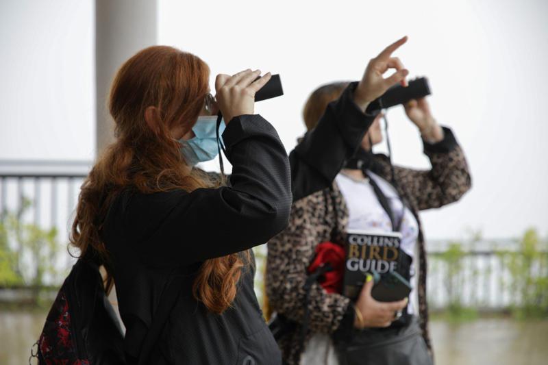 ფრინველებზე დაკვირვების მიმართულებით გიდების გადამზადება მიმდინარეობს