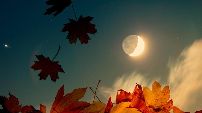 ვის დაუდგა ბედნიერი პერიოდი, ვინ გაიგებს საიდუმლოს მეუღლეზე, ვინ შეიცვლის სამსახურს ან ოჯახურ სტატუსს - ასტროპროგნოზი მთვარის მიხევით