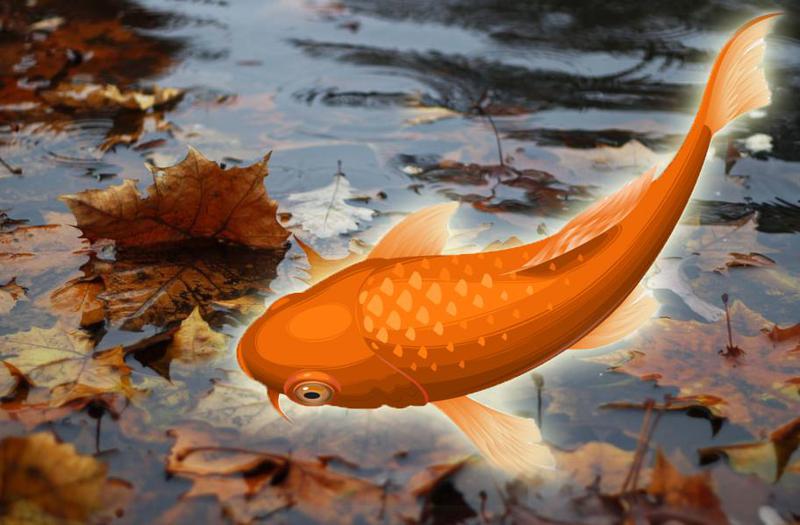 ოქტომბრის ასტროლოგიური პროგნოზი თევზებისთვის - ჯანმრთელობა, ფული და სიყვარული