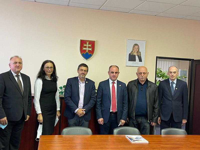 დავით ნარმანიამ სლოვაკ კოლეგებს საქართველოს ენერგეტიკული ბაზრის რეფორმირების პროცესი გააცნო