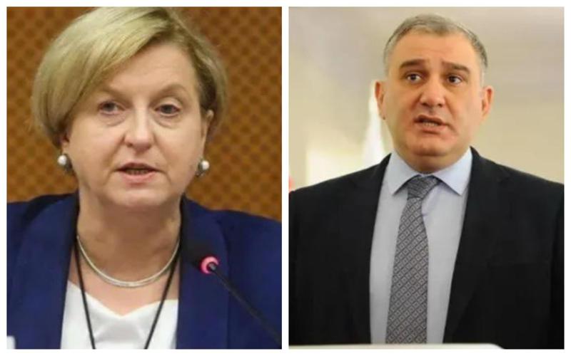 "ის, რომ ევროპარლამენტარია, არ ნიშნავს, რომ სხვა შეხვედრები ჩახსნა და მხოლოდ ის შეუშვა" - მიხეილ სარჯველაძე ანა ფოტიგაზე