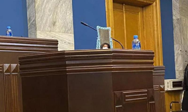 ანა ნაცვლიშვილმა საპარლამენტო ტრიბუნაზე სარკე დადგა და მოსამართლეობის კანდიდატსა და უმრავლესობის დეპუტატებს მასში ჩახედვისკენ მოუწოდა