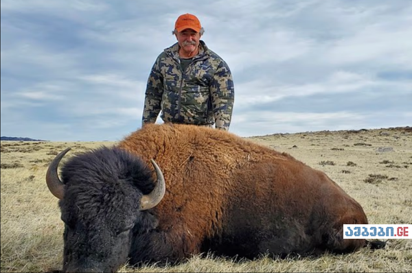 აფრიკაში ნადირობის დროს ამერიკელი მილიონერი სპილოებმა გადათელეს - საბედისწერო ტურის დეტალები