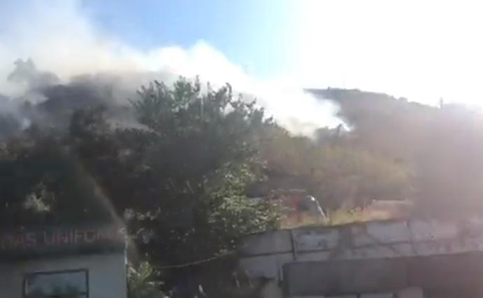 "ვეფხის და მოყმის" ძეგლის მიმდებარე ტერიტორიაზე ხანძარია