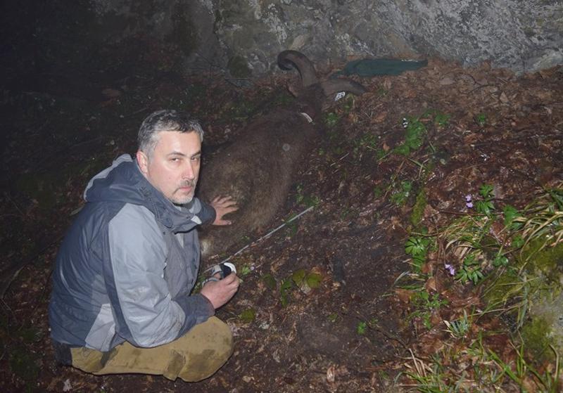 "დააკავეს ზოოპარკის წყალდიდობის გმირი!" - 20-21 ივნისის აქციის საქმეზე დაკავებულებს შორისაა ზოოლოგი, რომელმაც "ბეგი" დააძინა
