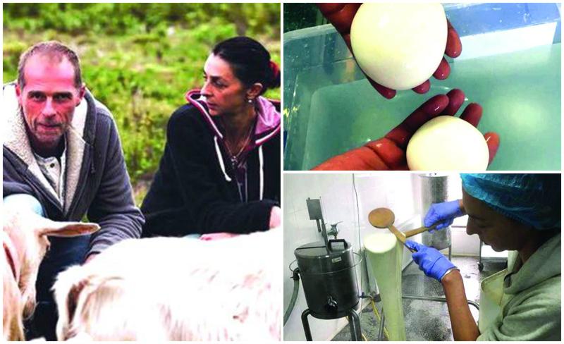 "ჯერ ცხენი გვაჩუქეს, შემდეგ - ძროხა... სოფელში ხართ და საჭიროაო" - თბილისიდან შალაურში გადასახლებული წყვილის "გემრიელი ბიზნესი"