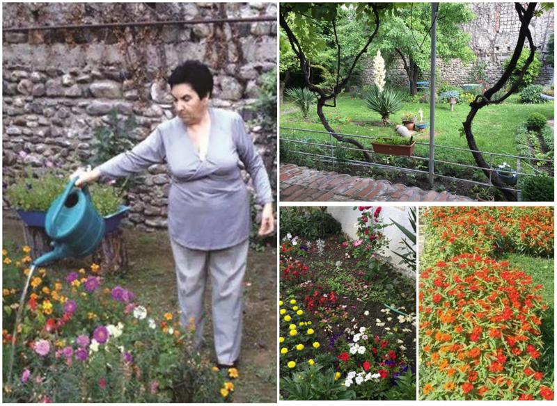 78 წლის პედაგოგის ულამაზესი ბაღი ახმეტაში, რომელიც დედის ხსოვნას მიუძღვნა - "შვილიშვილი უცხოეთიდან მირეკავს, რომ ვაჩვენო, ახალი რა გავაკეთე"