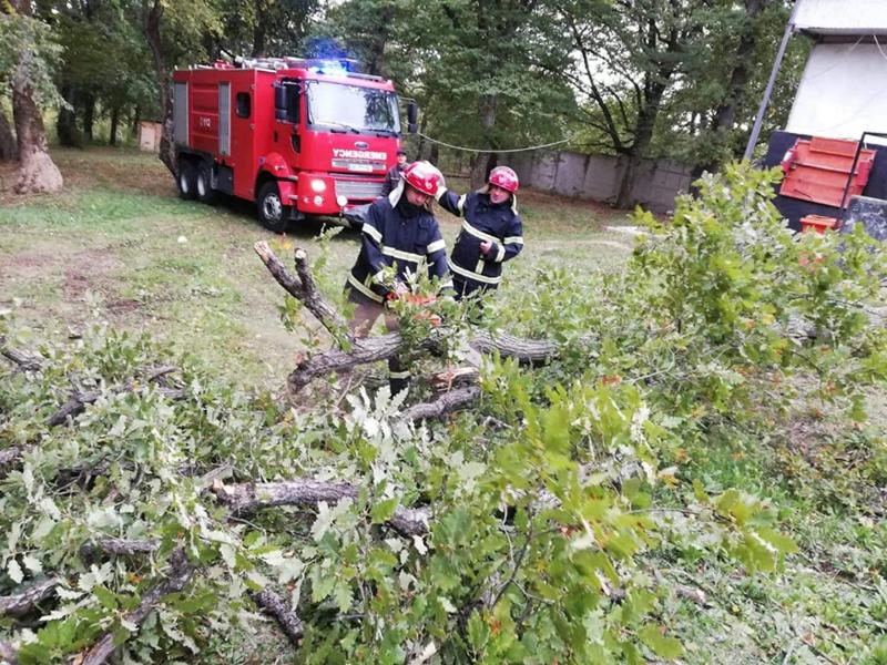 ძლიერი ქარის შედეგები თბილისსა და რუსთავში - საგანგებო სიტუაციების მართვის სამსახურში 300-მდე შეტყობინება შევიდა