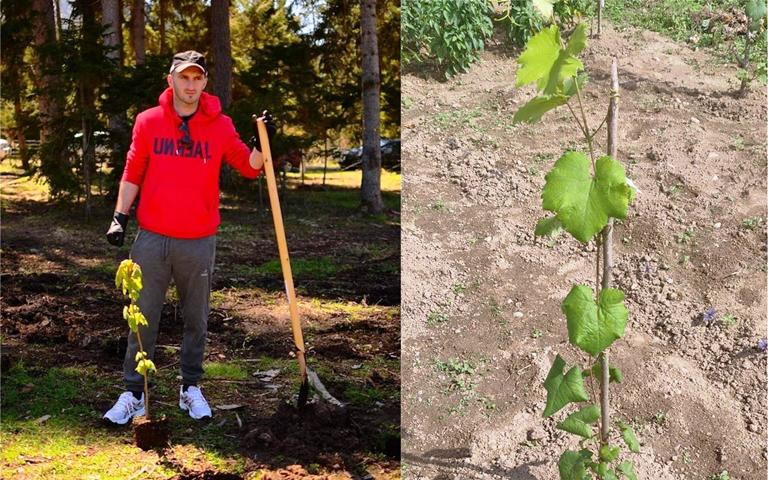 ცნობილი მწერალი ახალ ამპლუაში - როგორ მოაშენა გიორგი კეკელიძემ გურიაში, თავის მამულში "საკმიელა"