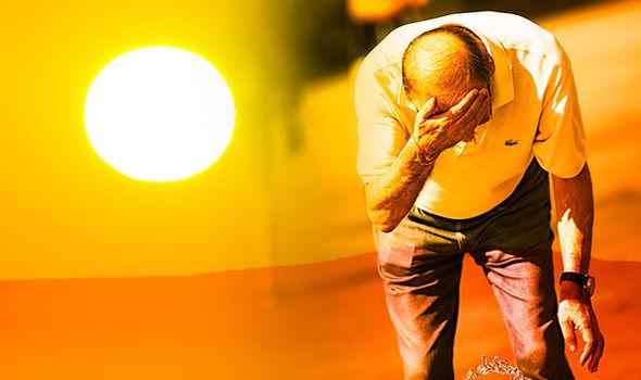 ძლიერი სიცხე ნიდერლანდებში, რის გამოც გარდაცვლილთა რაოდენობა 15 %-ით გაიზარდა