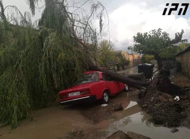 სტიქია კახეთში - სეტყვამ და ძლიერმა ქარმა ლაგოდეხი და გურჯაანი დააზარალა