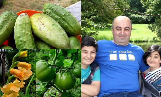 უჩა ნანუაშვილმა ბაღ-ბოსტანი გააშენა - "ეკოლოგიურად სუფთა პროდუქტი მომყავს"