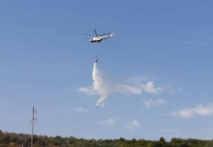 რა ვითარებაა ახალსოფლის ტყეში, სადაც მეორე დღეა ხანძრის ქრობის პროცესი მიმდინარეობს