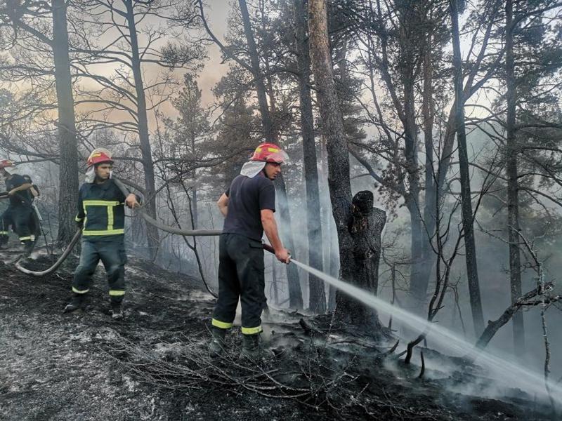 ძლიერი ხანძარი გორის რაიონში - სოფელ საყავრესთან საველე შტაბი ეწყობა