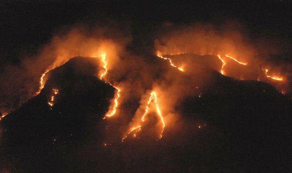 ამაზონის ტყეებში ხანძარს 44 000 ჯარისკაცი ჩააქრობს - რა შეთანხმებას განიხილავენ "დიდი შვიდეულის" სამიტზე