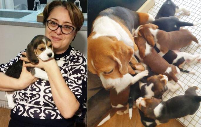 "კისერს კისერზე რომ დამადებს და ფშვინვას იწყებს, ნეტარებისგან მეცხრე ცაზე ვარ" - ხათუნა ლაგაზიძის 11 ძაღლი და ცნობილი ექსპერტის სხვა ამპლუა