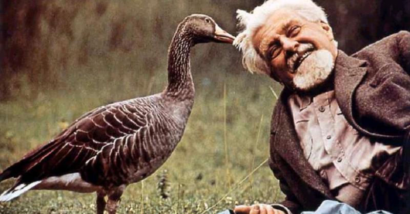 ნაცისტური ტყვეობის დროს, თბილისში ველოკომპლექსს  აშენებდა - ვინ იყო ავსტრიელი მეცნიერი, რომელმაც მსოფლიოს უნიკალური ნაშრომები დაუტოვა