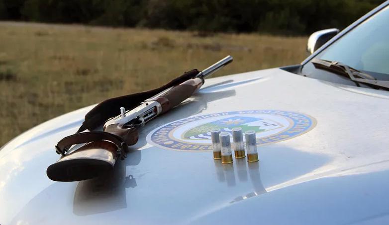 ნადირობაზე კონტროლი მკაცრდება - რა ეკრძალებათ მონადირეებს