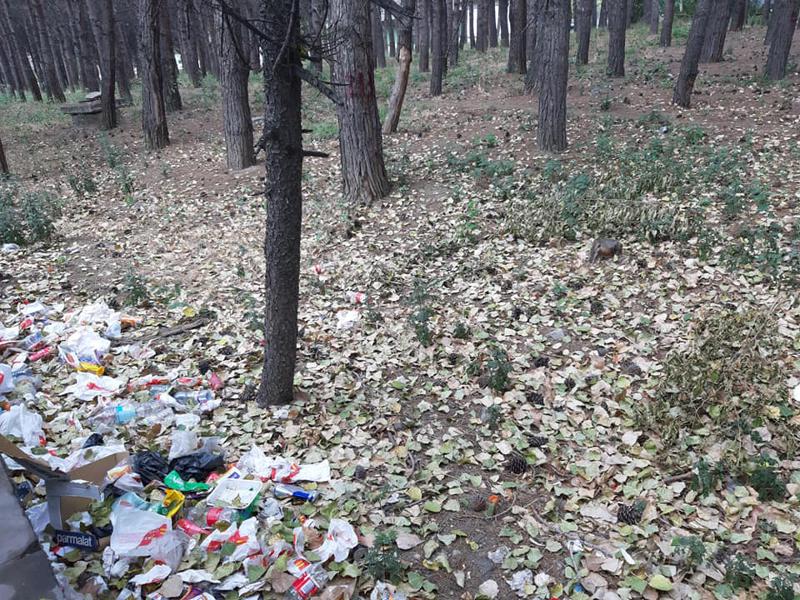 "მოუვლელი, ნაგავში ჩაფლული..." - რა ფოტოებს ავრცელებს ინტერნეტმომხმარებელი რესპუბლიკური საავადმყოფოს ეზოდან