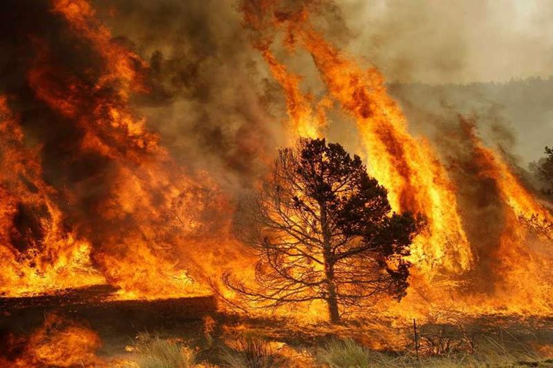 რუსეთში მილიონზე მეტი ჰექტარი იწვის - ხანძრის მასშტაბი სულ უფრო იზრდება