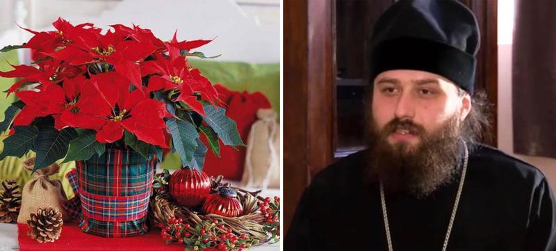 რატომ უნდა შეიტანოთ სახლში "საშობაო ყვავილი" - განმარტავს მოძღვარი