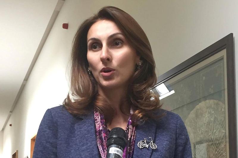 "კოვიდ 19"-ით 17 ადამიანი დაიღუპა, საგზაო შემთხვევებში კი მხოლოდ ერთ თვეში გვეღუპება საშუალოდ 40 ადამიანი" - ეკა ლალიაშვილი