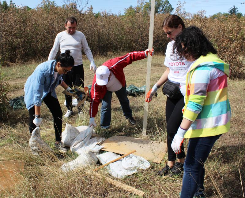 "ტოიოტა ცენტრ თბილისმა" თბილისის ზღვის მიმდებარე ტერიტორიის დასუფთავების აქციაში მიიღო მონაწილეობა