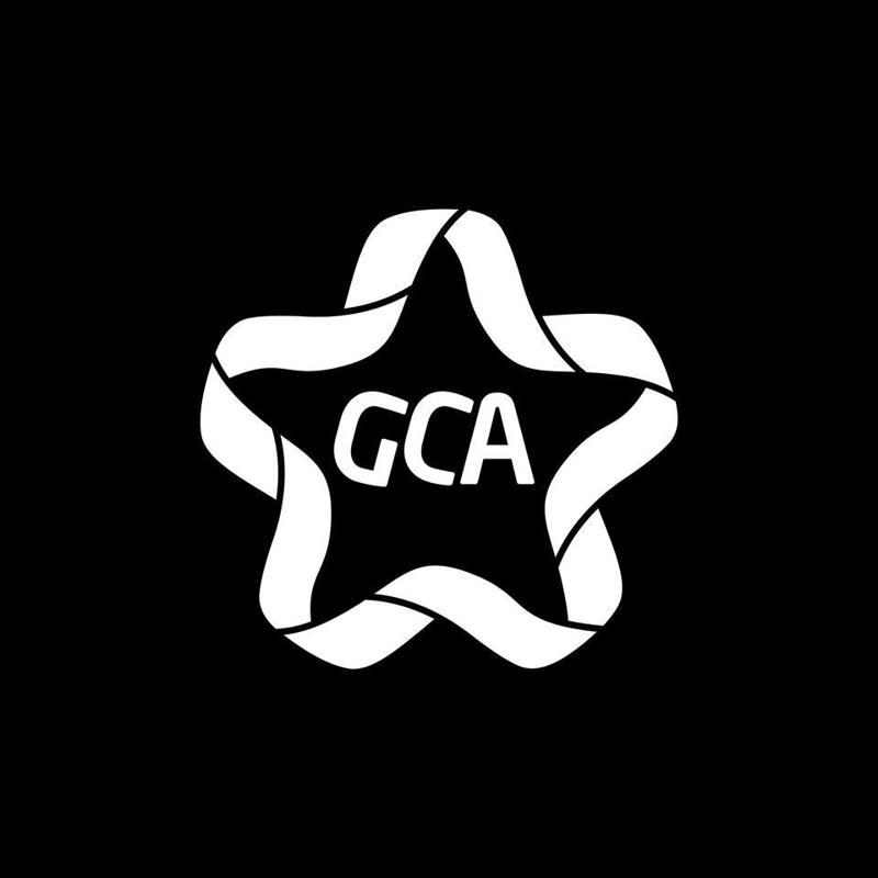 "საქართველოს საავტორო უფლებათა ასოციაცია" რუსეთის მფარველობის ქვეშ შექმნილი ორგანიზაციების მიერ გავრცელებულ ინფორმაციას განცხადებით ეხმაურება