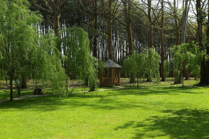 როგორ გამოიყურება პარკი ოზურგეთში, რომელიც ივანიშვილის დაფინანსებით გაკეთდა - ფოტოები