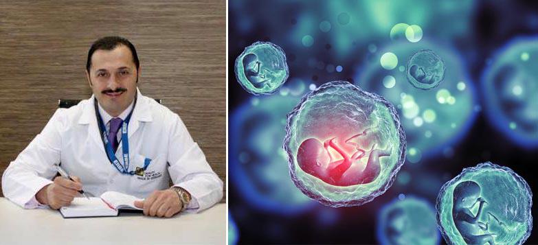 "პაციენტმა იკითხა: ჩემმა მოძღვარმა მითხრა, დარჩენილ ემბრიონებს ხომ არ კლავენო?" - რა უნდა იცოდეთ ინ ვიტრო განაყოფიერებაზე