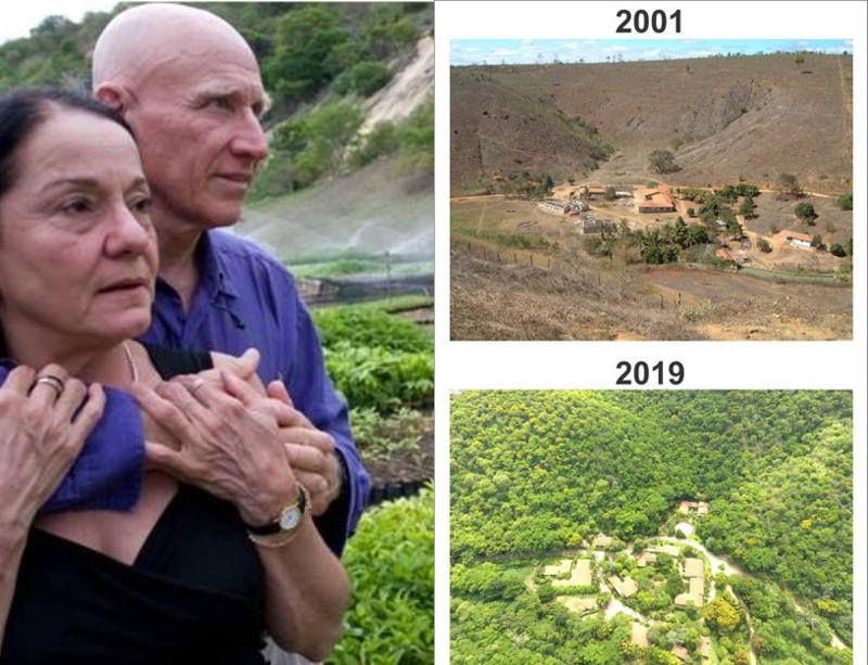 დაუჯერებელი ამბავი - ცოლ-ქმარმა გამქრალი ტყე ახლიდან გააშენა, სადაც ყველა ცხოველი და მწერი დაბრუნდა