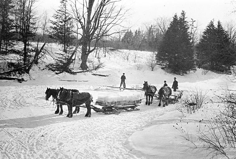 რას იყენებდნენ ჩვენი წინაპრები მაცივრის გამოგონებამდე და როგორ ინახავდნენ პროდუქტებს