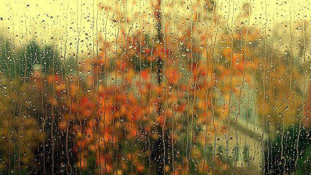 ტემპერატურა 3-4 გრადუსით დაიკლებს - უახლოეს დღეებში სინოპტიკოსები წვიმას პროგნოზირებენ