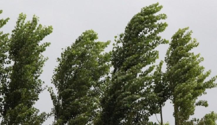 თბილისში მთელი ღამის განმავლობაში ძლიერი ქარი იქნება