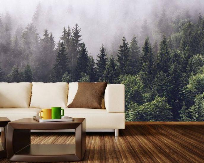 ფოტოშპალერი - 21-ე საუკუნის ახალი ტენდენცია