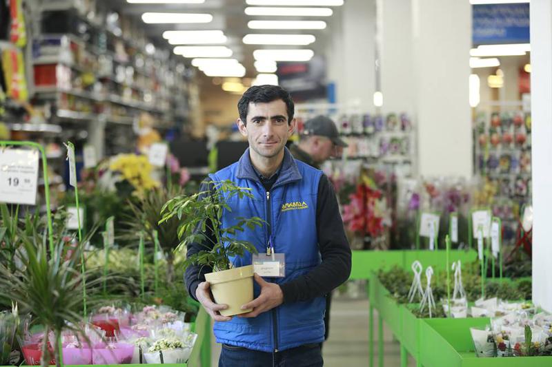 ოთახის 5 მცენარე, რომელიც ყველაზე მეტ ჟანგბადს გამოყოფს - ფლორისტი გირჩევთ, როგორ მოუაროთ მათ