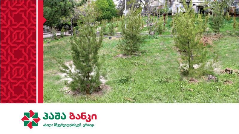 პაშა ბანკმა პარტნიორებსა და თანამშრომლებს აღდგომა გარემოსდაცვითი აქტივობით მიულოცა