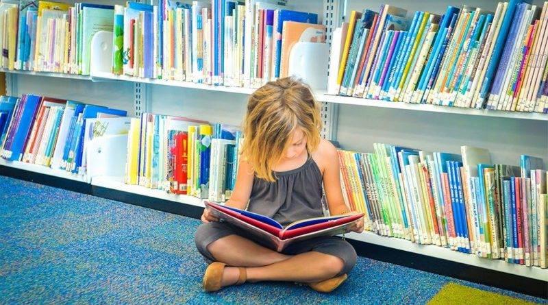 როგორ გავხადოთ შვილები უფრო ჭკვიანები - აინშტაინის პასუხი და „პალიტრა L-ის“ ახალი პროექტი