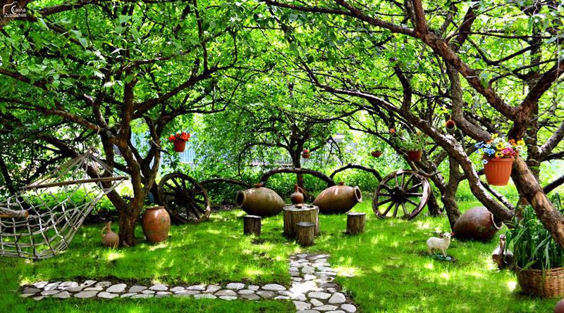 როგორ მოაწყო მეტეხელმა ბიჭმა 20 ლარად ზღაპრული ეზო - "ძალიან ბევრი ადამიანი მოდის და ფოტოებს იღებენ..."