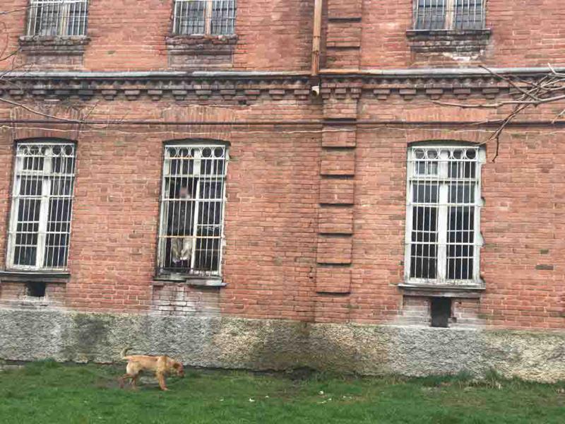 ანტისანიტარია და ღირსების შემლახავი პირობები - სურამის ფსიქიატრიული საავადმყოფო ომბუდსმენმა მოინახულა