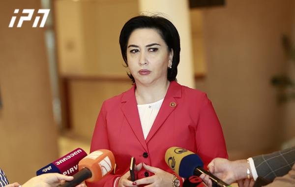 როგორ შეიცვალა ეკა ბესელიას ფინანსური მდგომარეობა და რა ქონებას ფლობს დეპუტატი