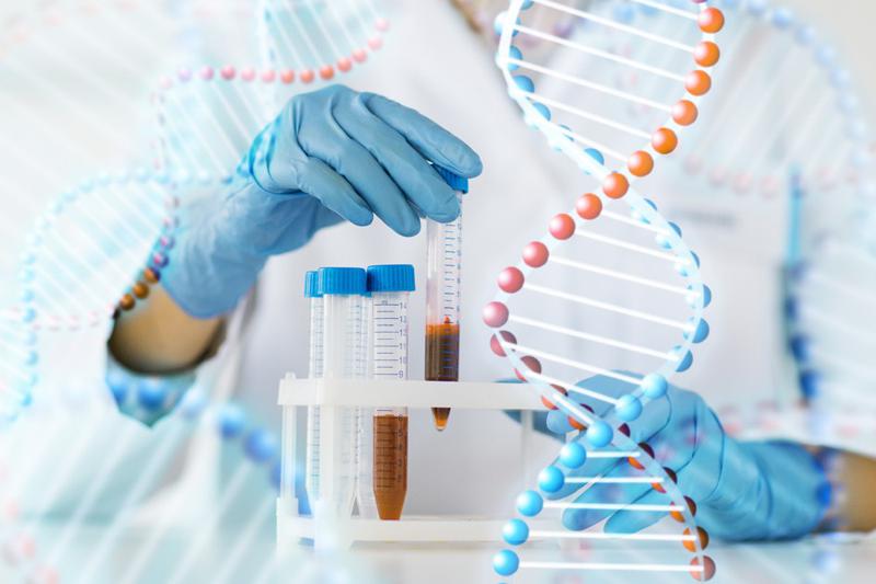 რა დაავადებები დაამარცხა კაცობრიობამ და როგორ ებრძვის მსოფლიო მედიცინა თანამედროვე გამოწვევებს