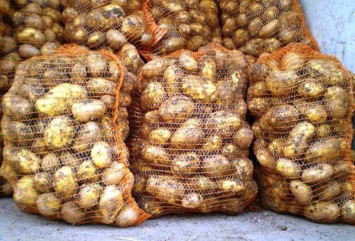 თურქეთიდან გასაყიდად შემოტანილ კარტოფილში მავნე ორგანიზმები აღმოაჩინეს