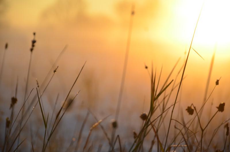 მოსალოდნელია თბილი და უნალექო ამინდი - როგორია უახლოესი დღეების ამინდის პროგნოზი