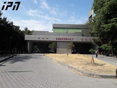 ექიმის პირველი კომენტარი პრეზიდენტის სიძის ჯანმრთელობის მდგომარეობის შესახებ