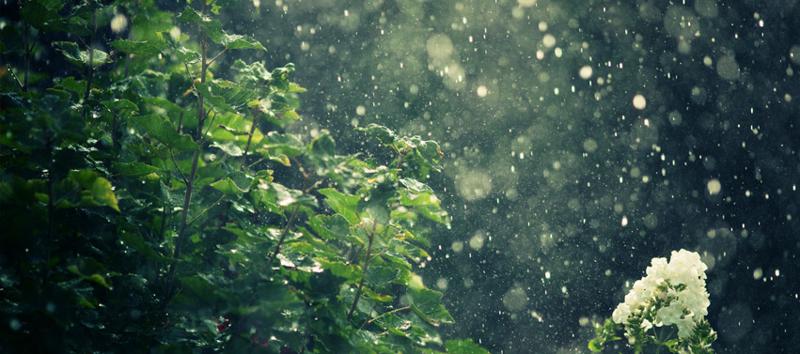 12-13 აგვისტოს წვიმაა მოსალოდნელი - როგორია უახლოესი დღეების ამინდის პროგნოზი დასავლეთ და აღმოსავლეთ საქართველოში